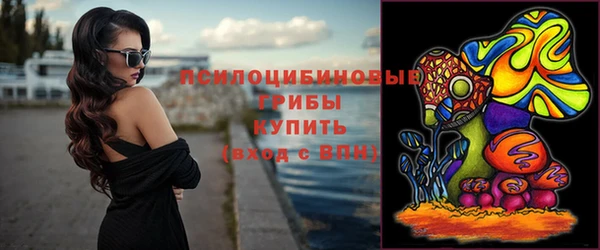 хмурый Алексеевка