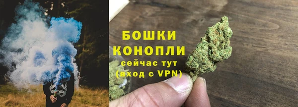прущие грибы Абдулино