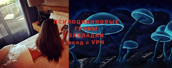 a pvp Абаза