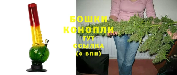 прущие грибы Абдулино