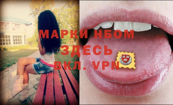 a pvp Абаза