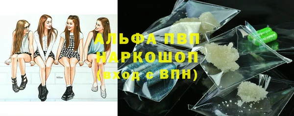прущие грибы Абдулино