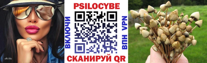 маркетплейс телеграм  Шилка  Псилоцибиновые грибы Psilocybe 
