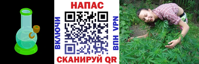 наркошоп  Шилка  Бошки Шишки OG Kush 